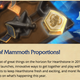 The next Standard rotation will be in the Spring of 2018, coming very soon!